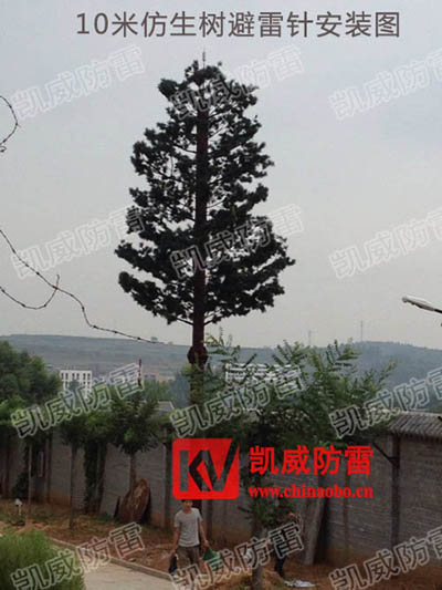 仿生避雷針安裝圖.jpg